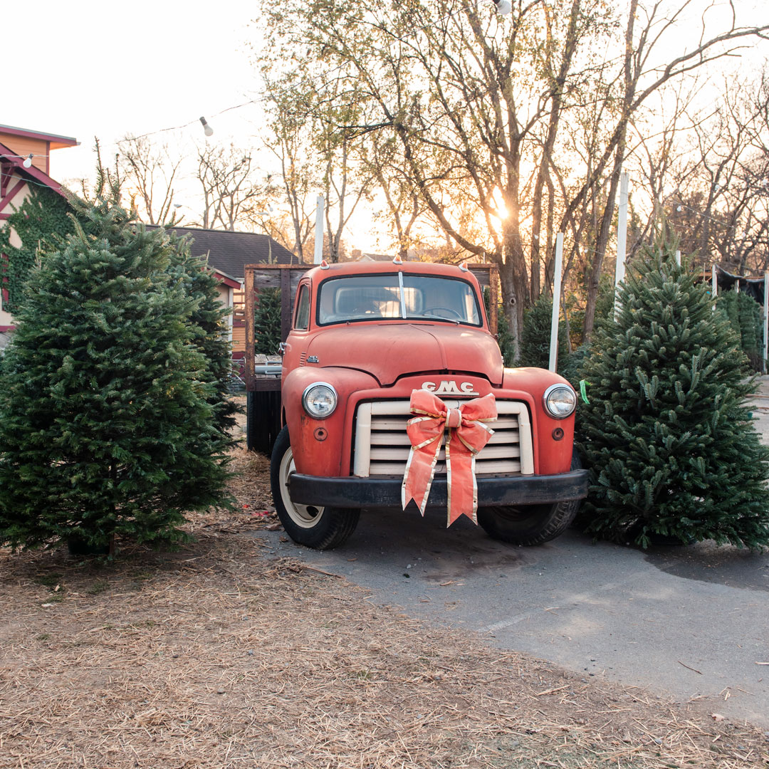 Santa’s Christmas Trees — NSHVLL